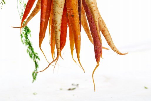 Photos de carottes sur fond blanc