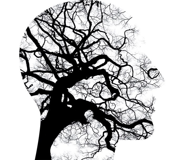 Image de le tête d'un homme de profil avec des branches d'arbre à l'intérieur